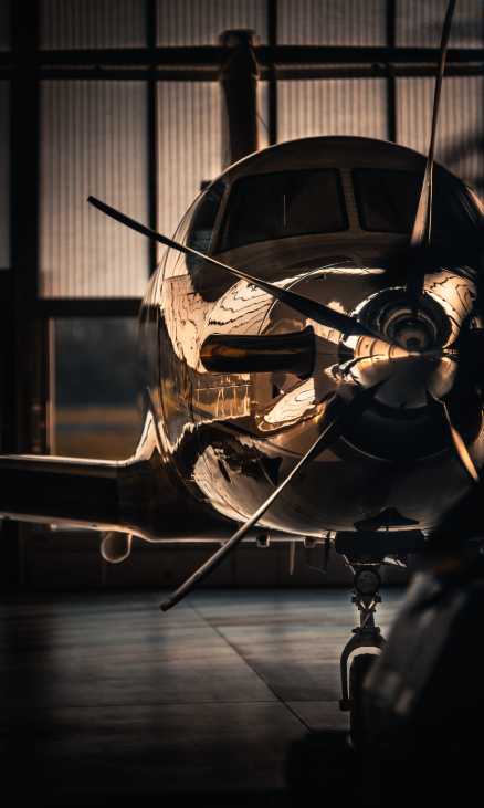 pexels-photo-1295036 1 (2)