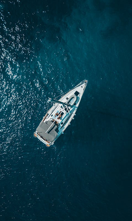 pexels-photo-1295036 1